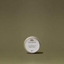 Carica l'immagine nel visualizzatore di Gallery, LIP BALM Burro di Karitè