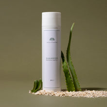 Carica l&#39;immagine nel visualizzatore di Gallery, SHAMPOO DELICATO Olio di Lino e Proteine Vegetali
